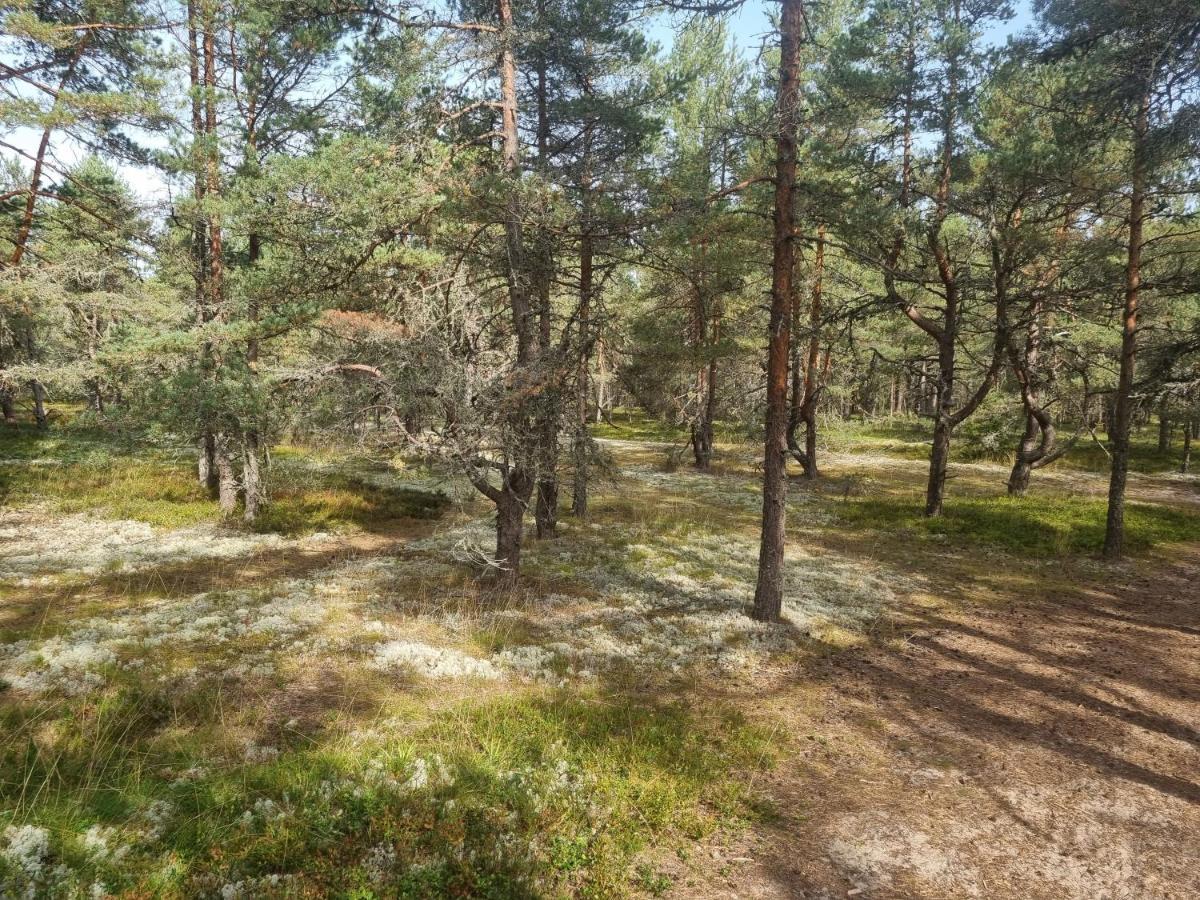 Norwegian Saunahouse Haapse Exterior photo